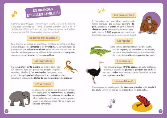 Coffret: à la découverte des animaux du monde - 7 ans Jeux & loisirs créatifs La family shop