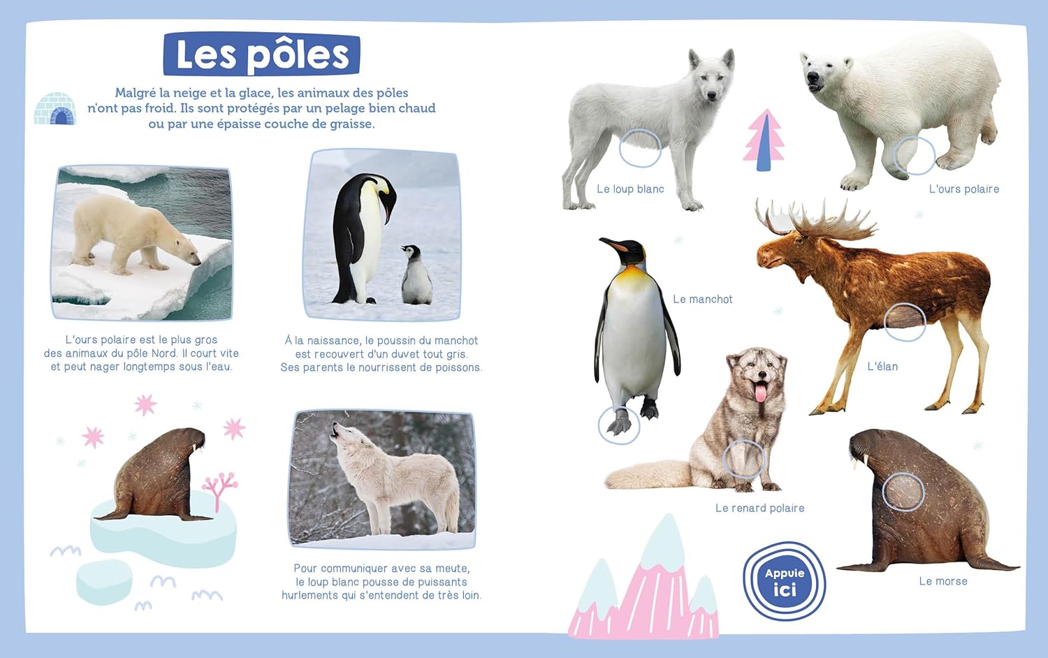 Mon imagier sonore - Les animaux sauvages Livres OLF