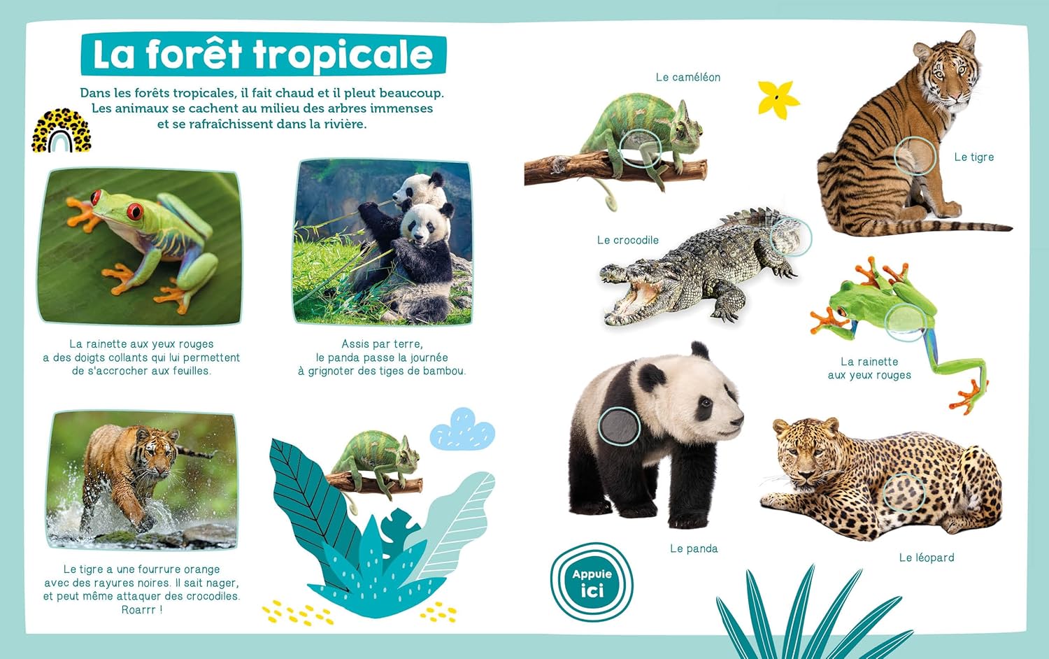 Mon imagier sonore - Les animaux sauvages Livres OLF