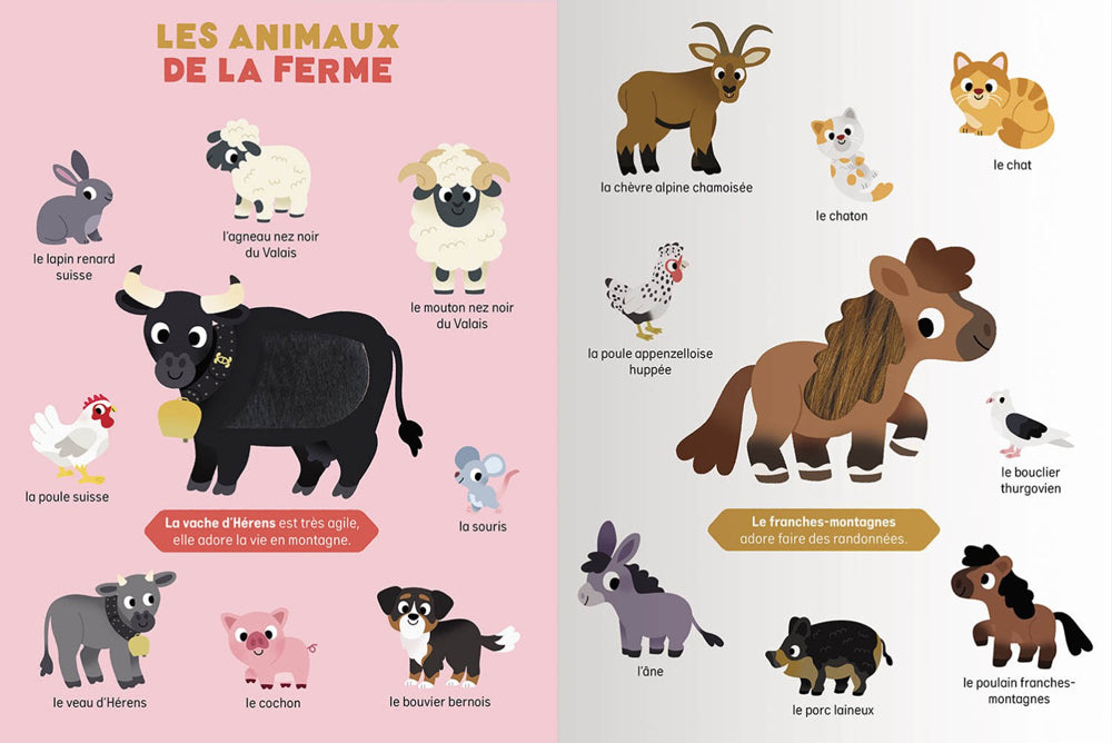 Mes premiers animaux de Suisse à toucher