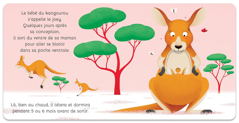 Les bébés animaux animés Livres OLF