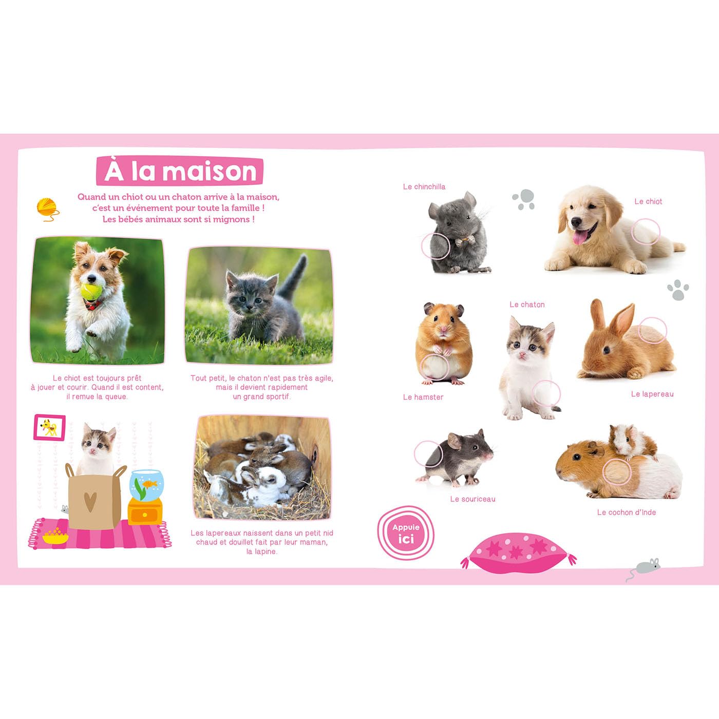 Mon imagier sonore - bébés animaux Livres OLF