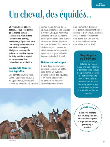 L'encyclo: passion cheval - Tout savoir sur les chevaux dès 8 ans