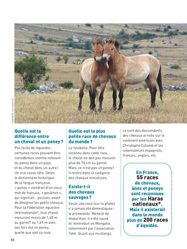 L'encyclo: passion cheval - Tout savoir sur les chevaux dès 8 ans
