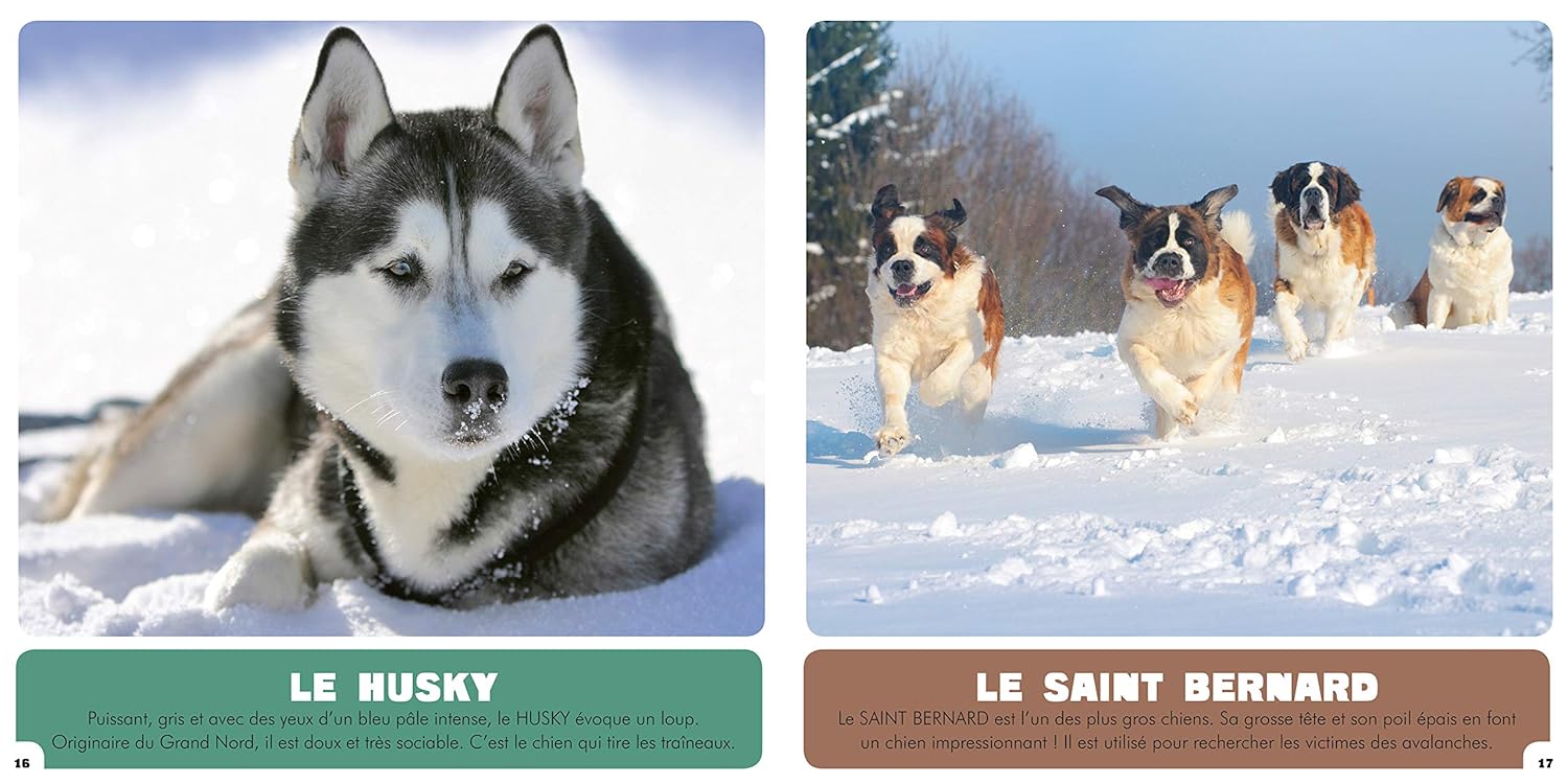 Les chiens - Album Livres OLF