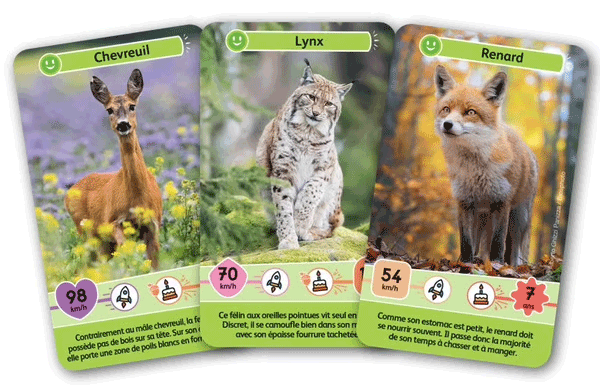 Défi nature Junior - les animaux de la forêt - Jeu de défis dès 5 ans