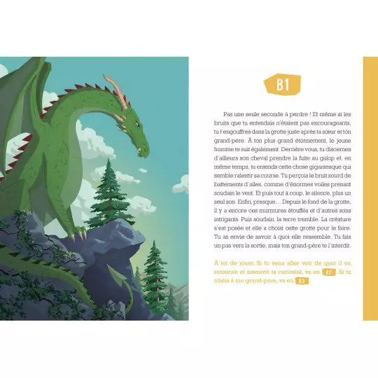 Deviens le héros en belgique - Le chevalier dragon Livres Auzou - OLF