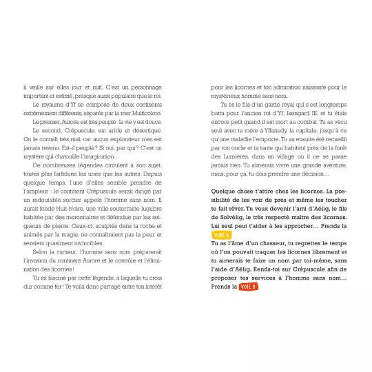 Deviens le héros - Le maître des licornes Livres Auzou - OLF
