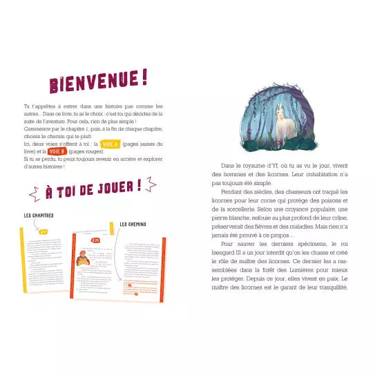 Deviens le héros - Le maître des licornes Livres Auzou - OLF