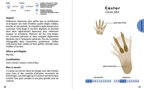 Le petit guide des empreintes animales - Dès 8 ans Livres OLF