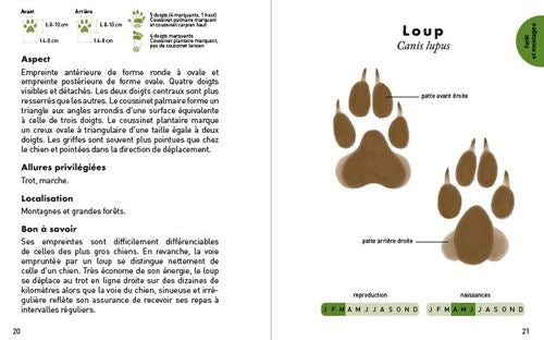 Le petit guide des empreintes animales - Dès 8 ans Livres OLF