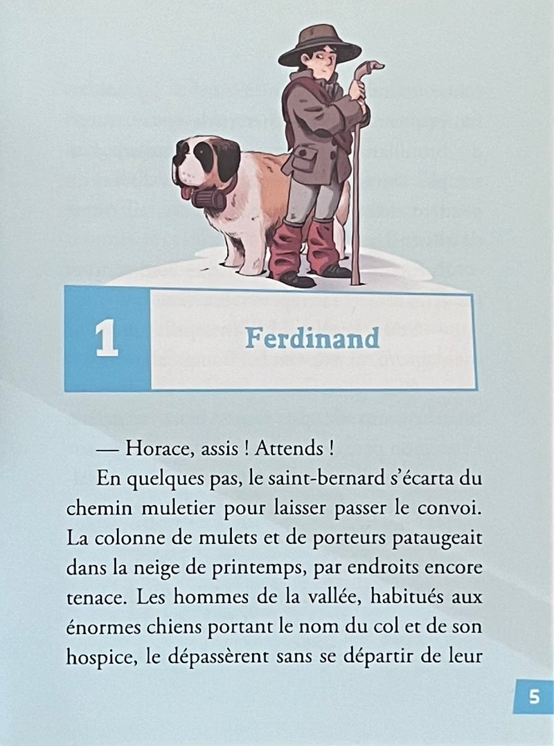 Les enfants de Napoléon - Roman historique pour enfant dès 9 ans Livres OLF   