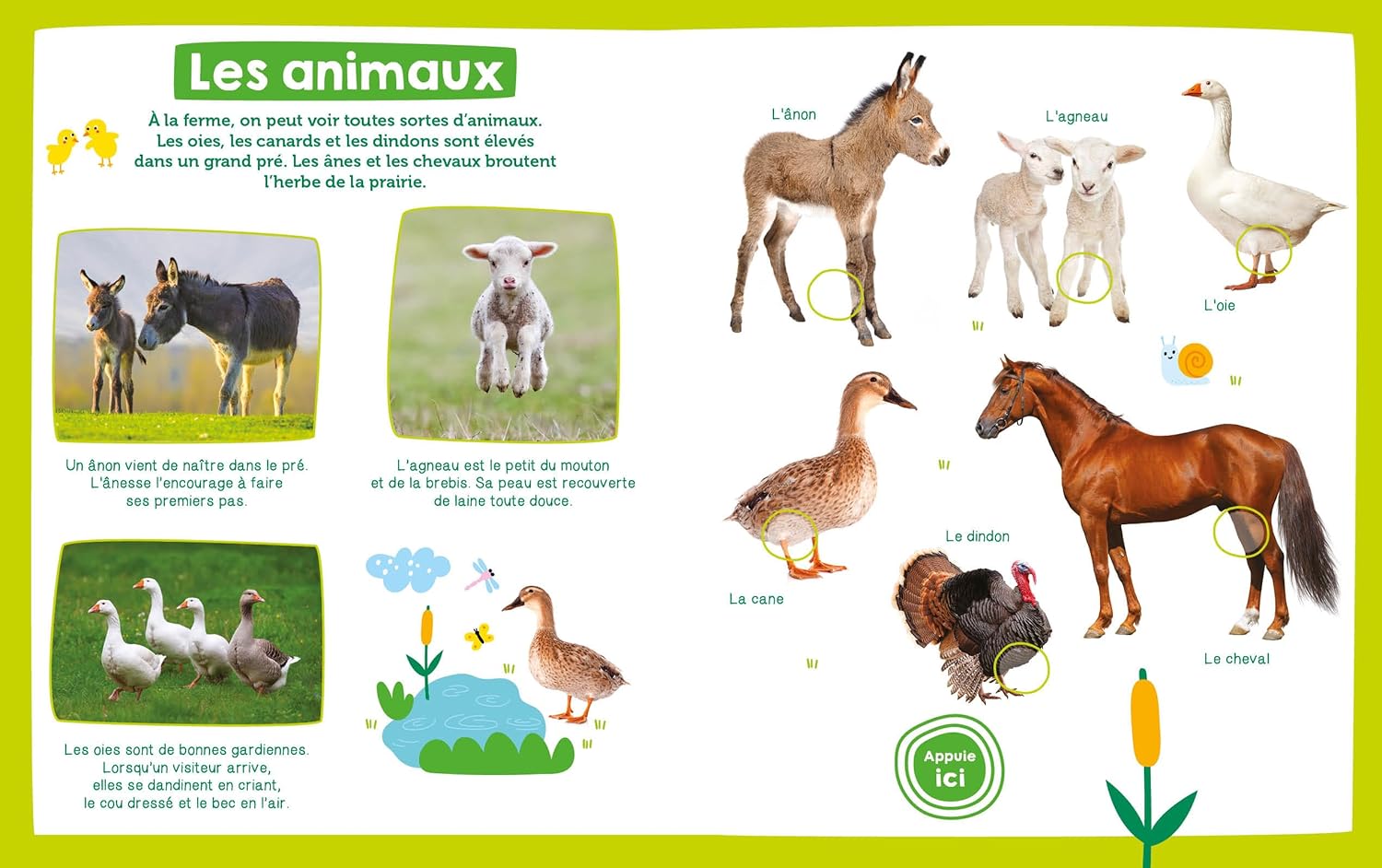 Mon imagier sonore - La ferme Livres OLF