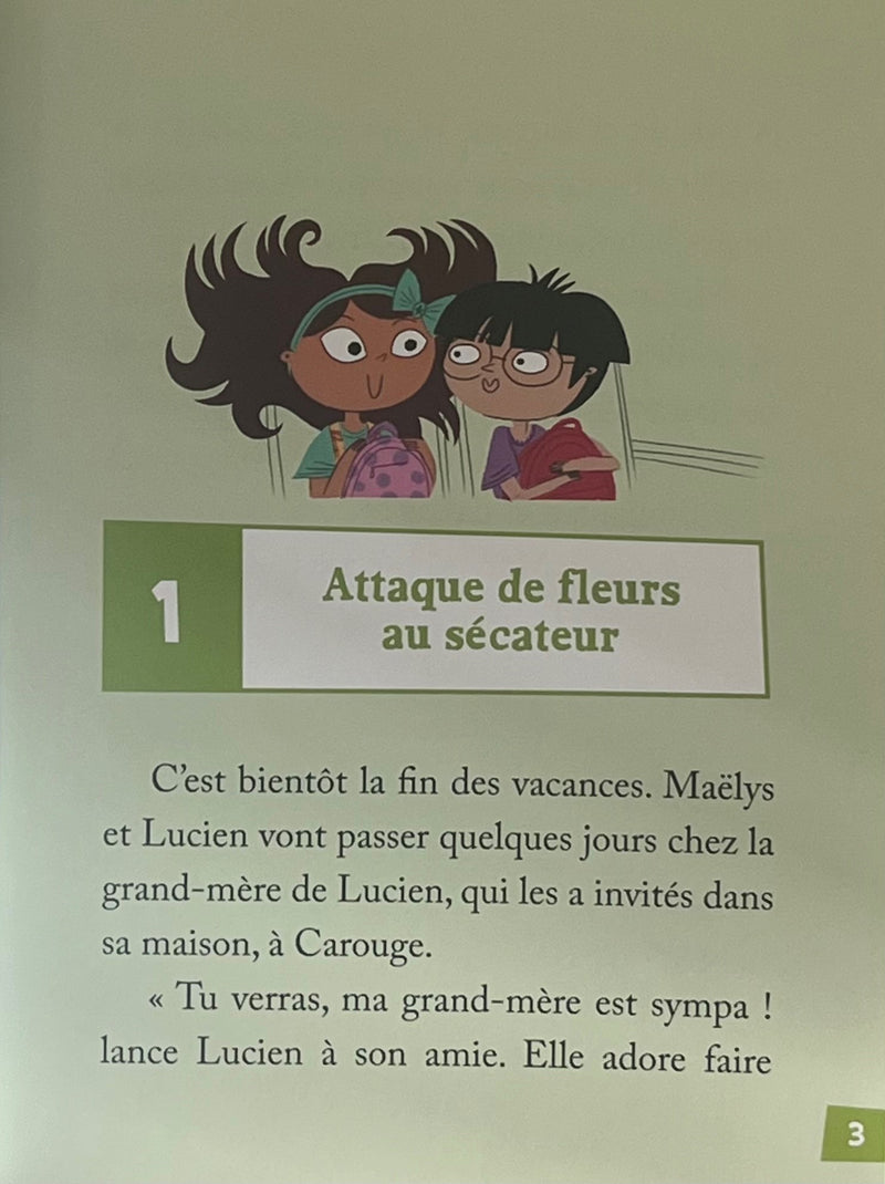 Les enquêtes de Maëlys - T22: le voleur de fleurs de Carouge - Dès 8 ans Livres OLF   