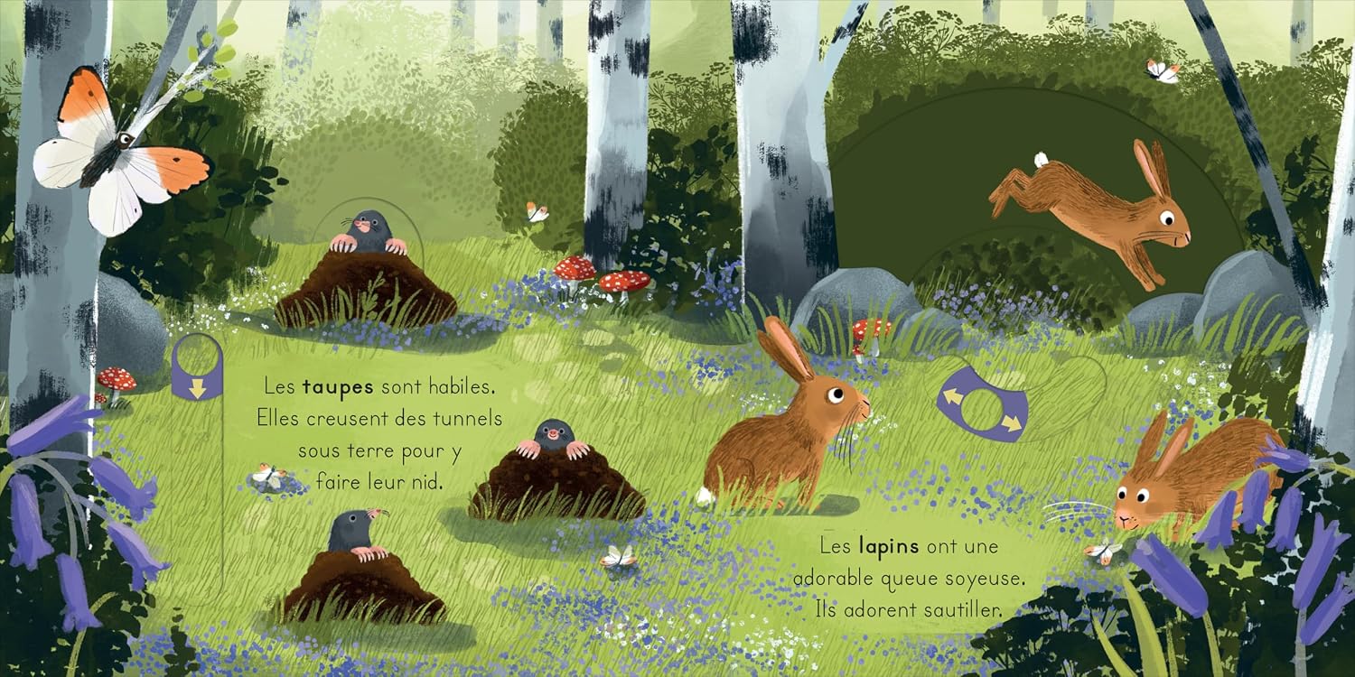 La forêt