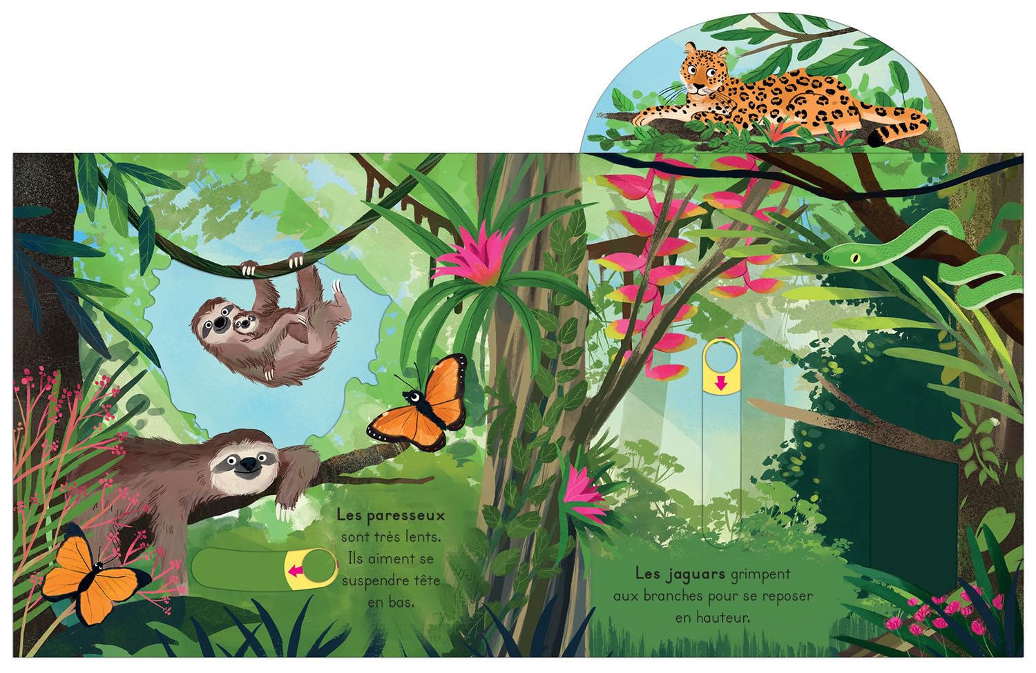 La Jungle - avec des tirettes Livres OLF