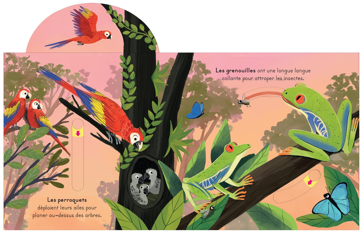 La Jungle - avec des tirettes Livres OLF