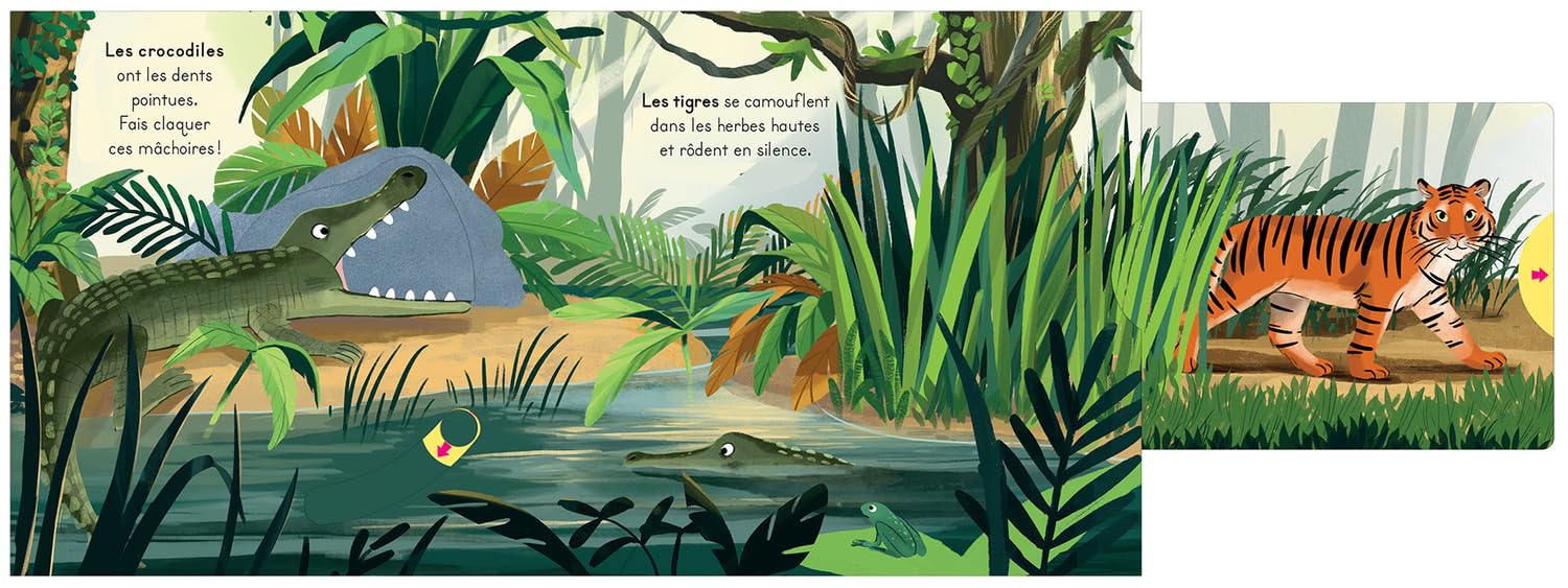 La Jungle - avec des tirettes Livres OLF