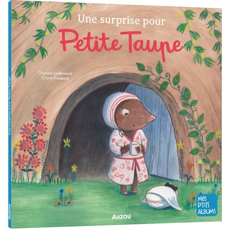 Petite Taupe : une surprise pour Petite Taupe Livres La family shop   