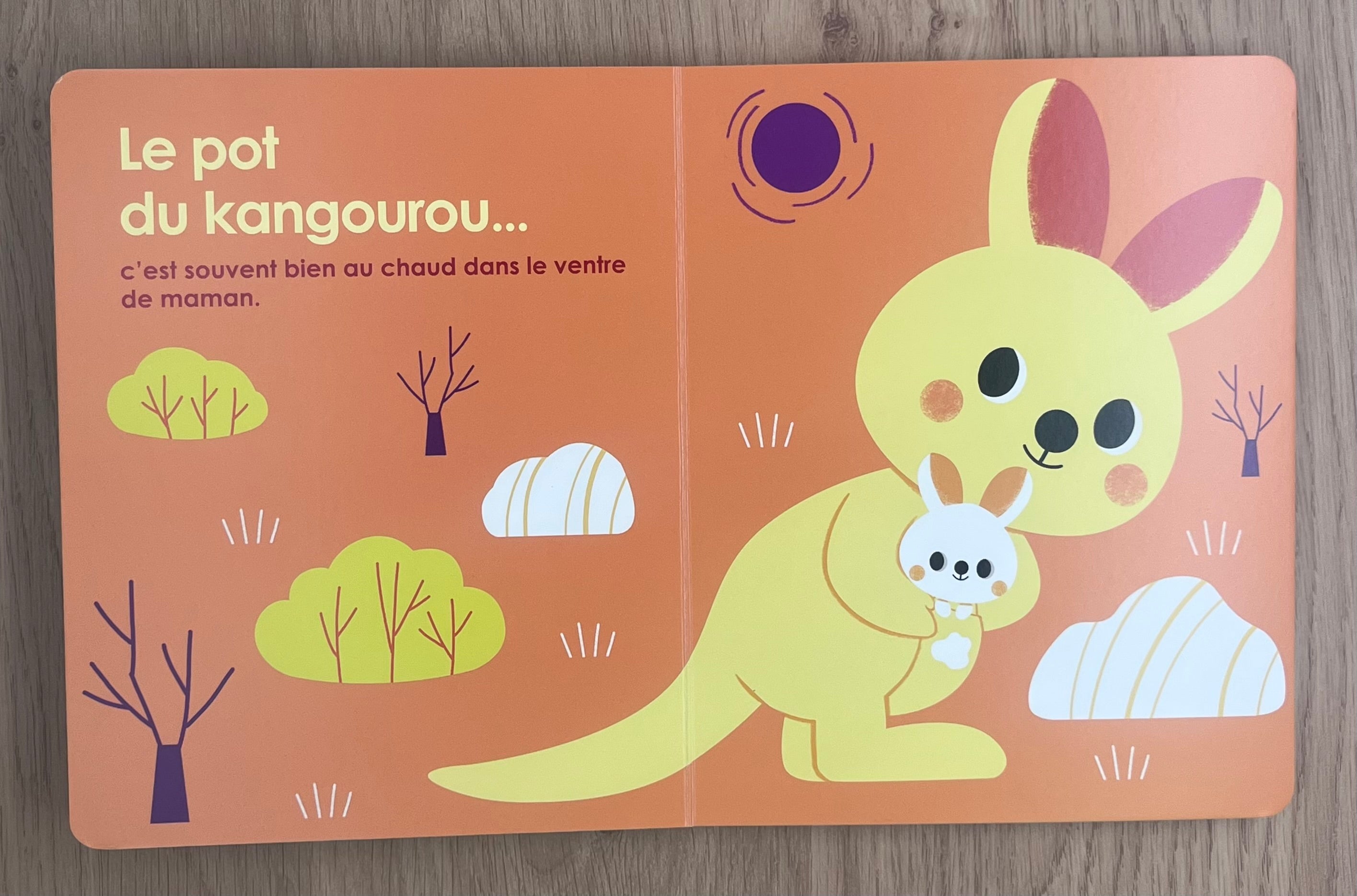 Le pot, c'est rigolo ! - album Livres OLF