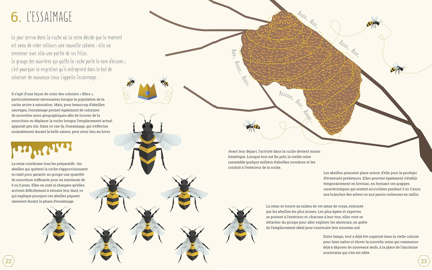 Le monde des abeilles
