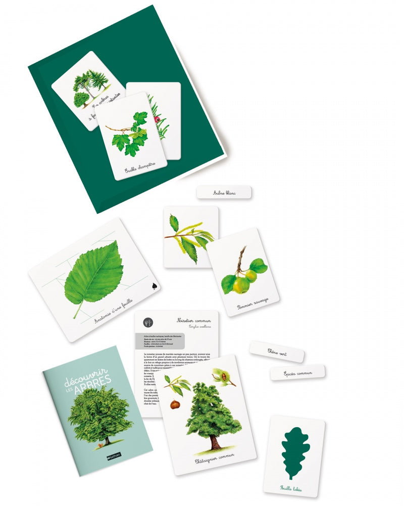 Mon coffret Montessori : découvrir les arbres Montessori & Steiner La Family Shop