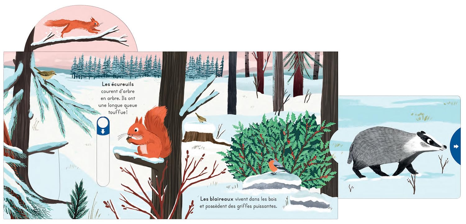 Dans la neige