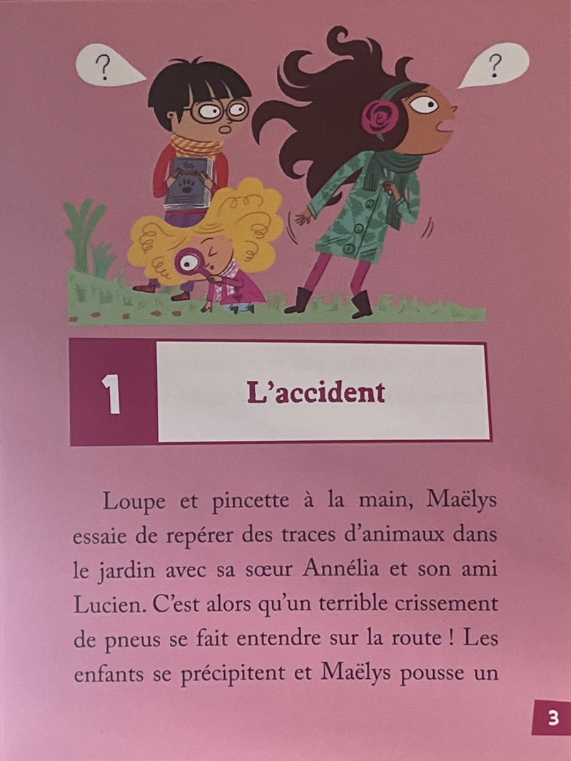 Les enquêtes de Maëlys - T12: Sur la piste des ours de Berne - Dès 8 ans Livres OLF   