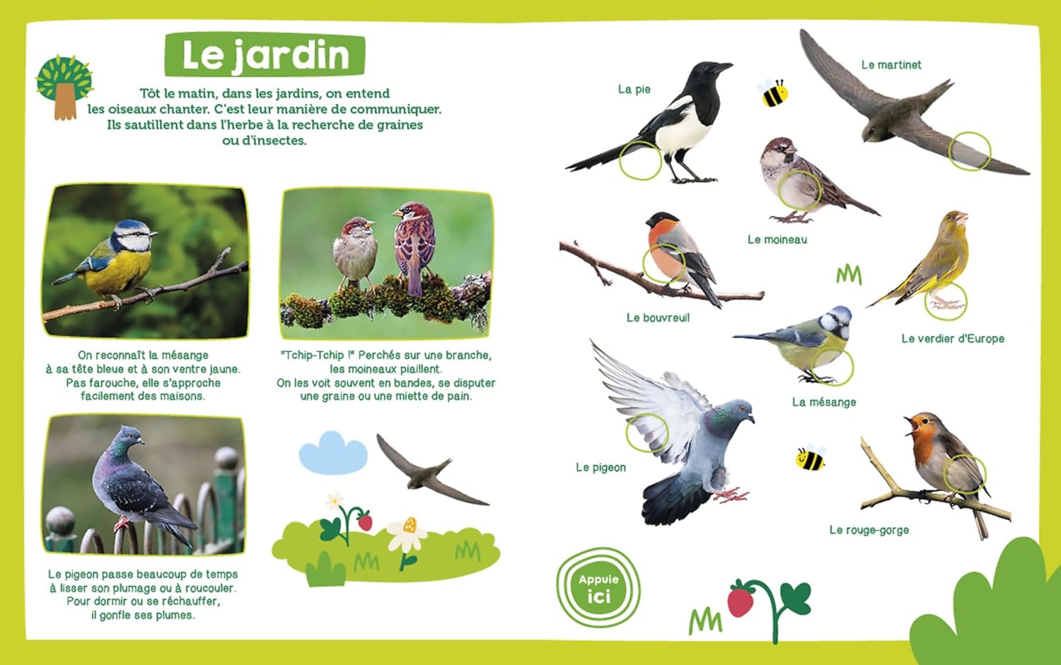 Mon imagier sonore - oiseaux Livres OLF