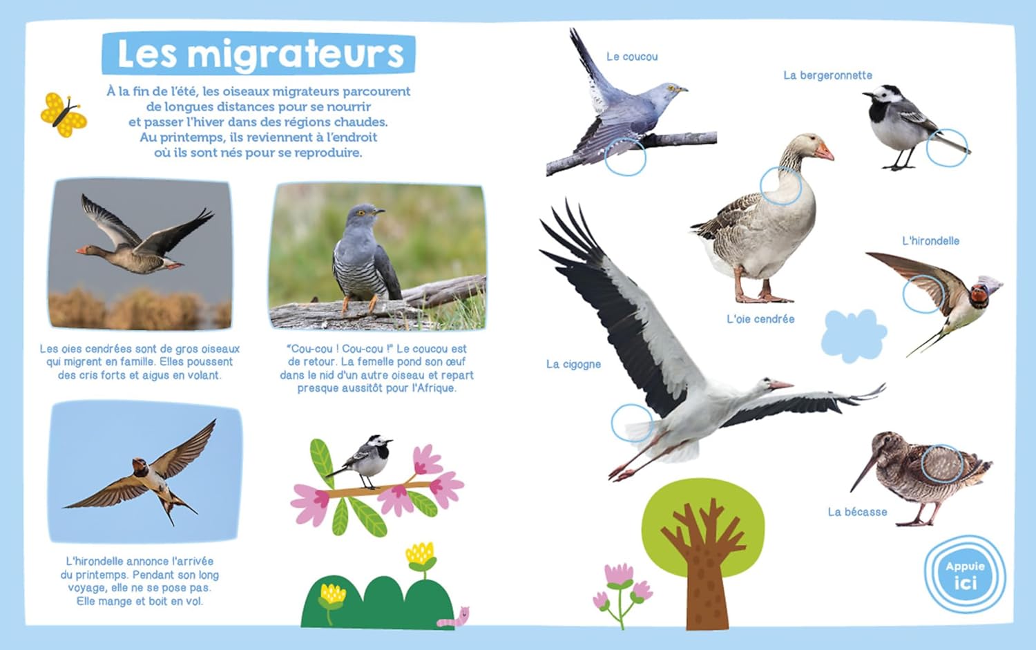 Mon imagier sonore - oiseaux Livres OLF