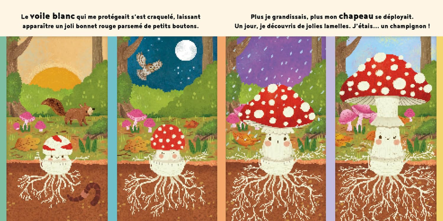 Le petit champignon