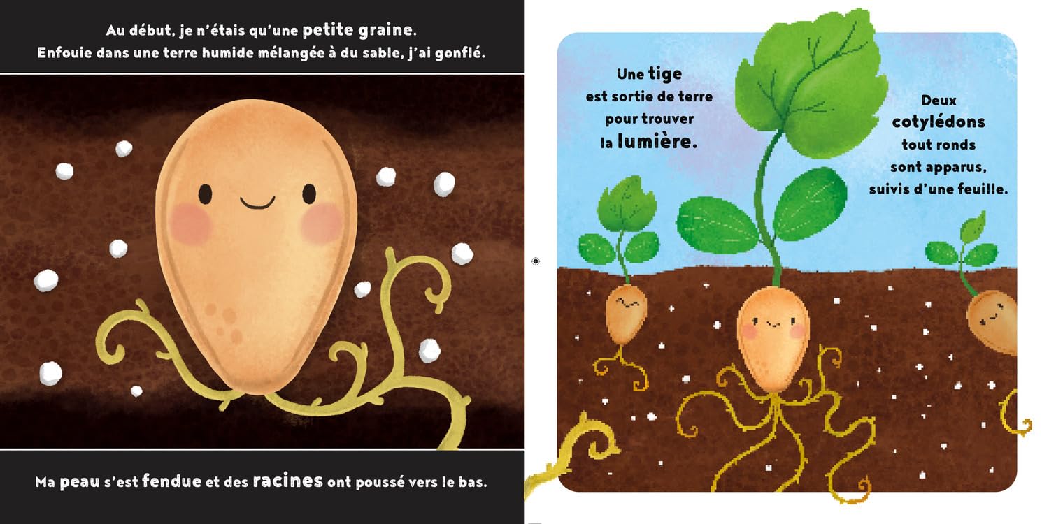 La petite citrouille