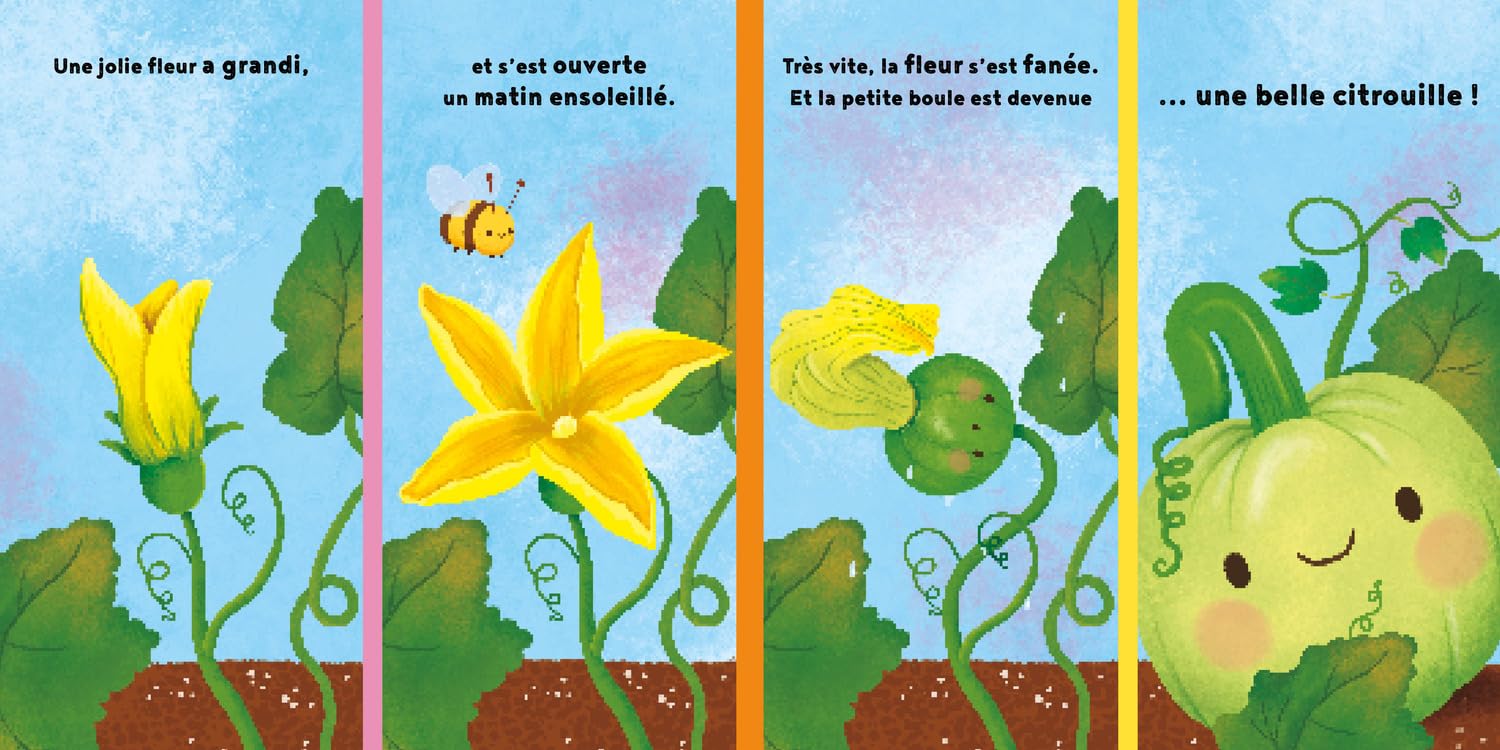 La petite citrouille