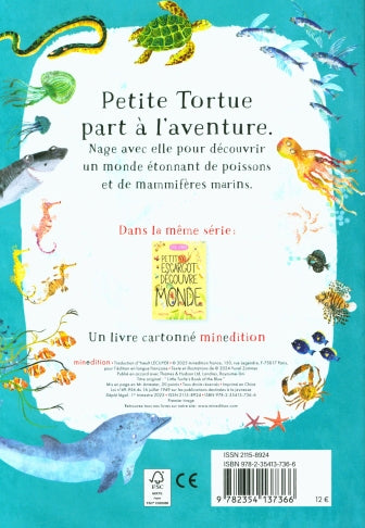 La petite tortue dans l'océan