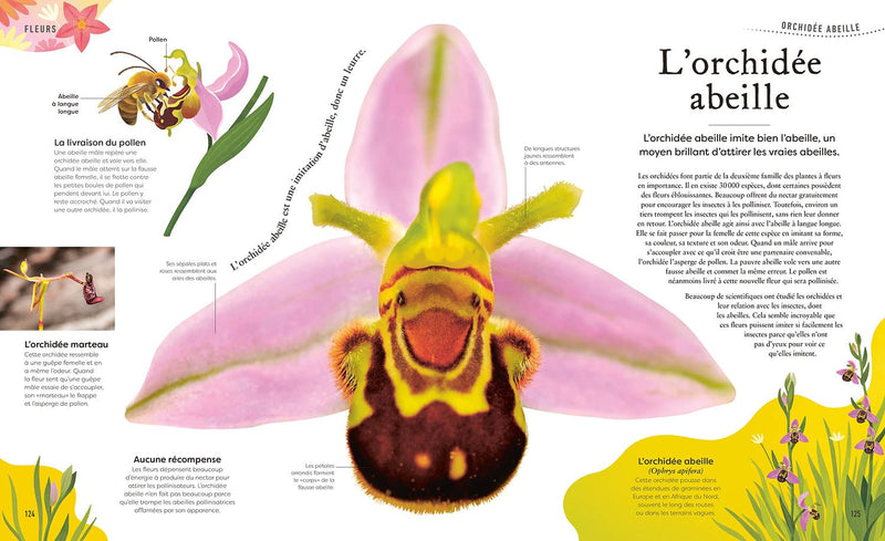 L'anthologie insolite des plantes - grand format Livres OLF   