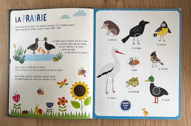 Mon livre sonore Animaux - 54 sons Jeux & loisirs créatifs OLF   