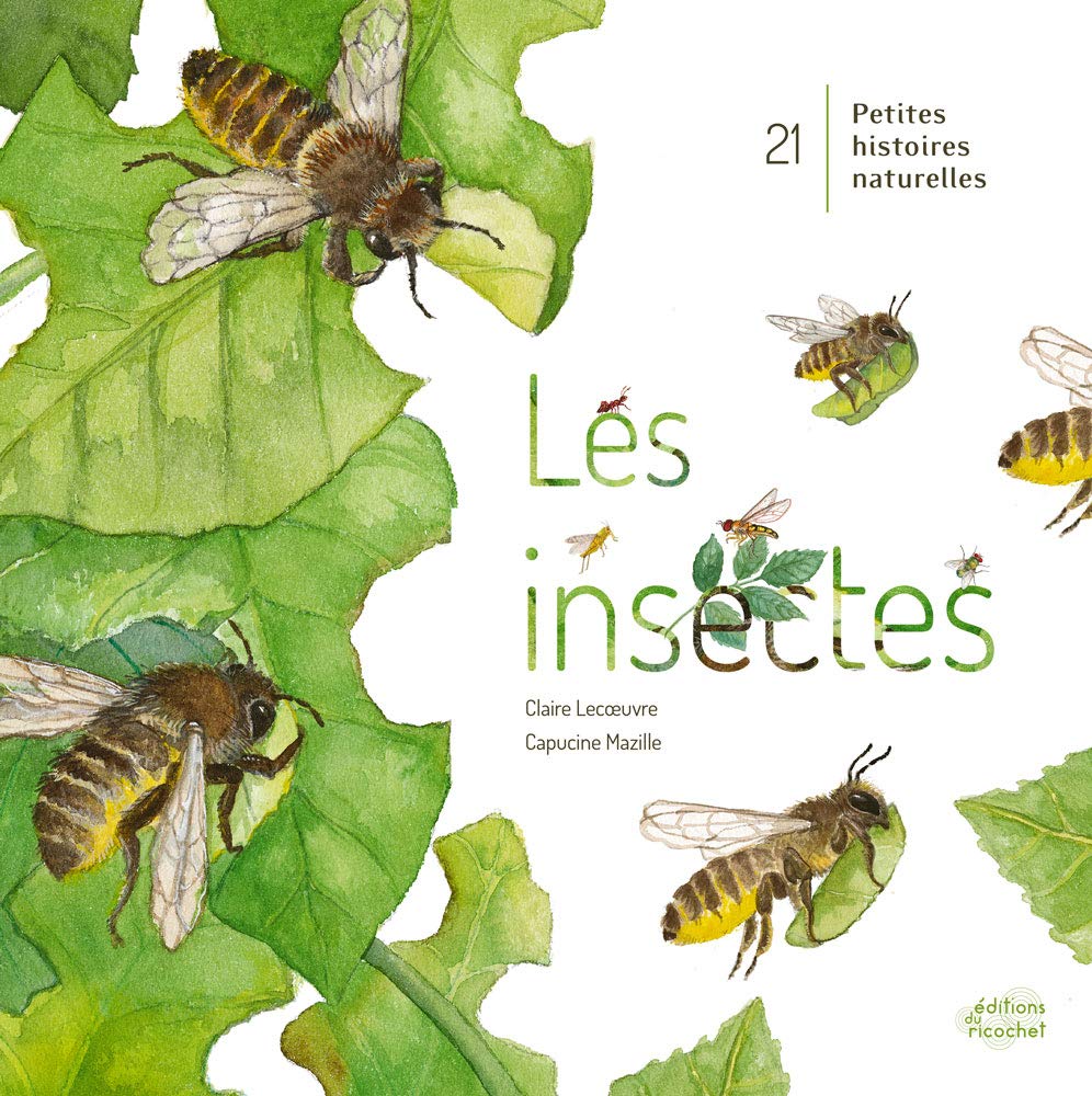 Les insectes : 21 petites histoires naturelles - Enfants dès 5 ans Livres OLF   