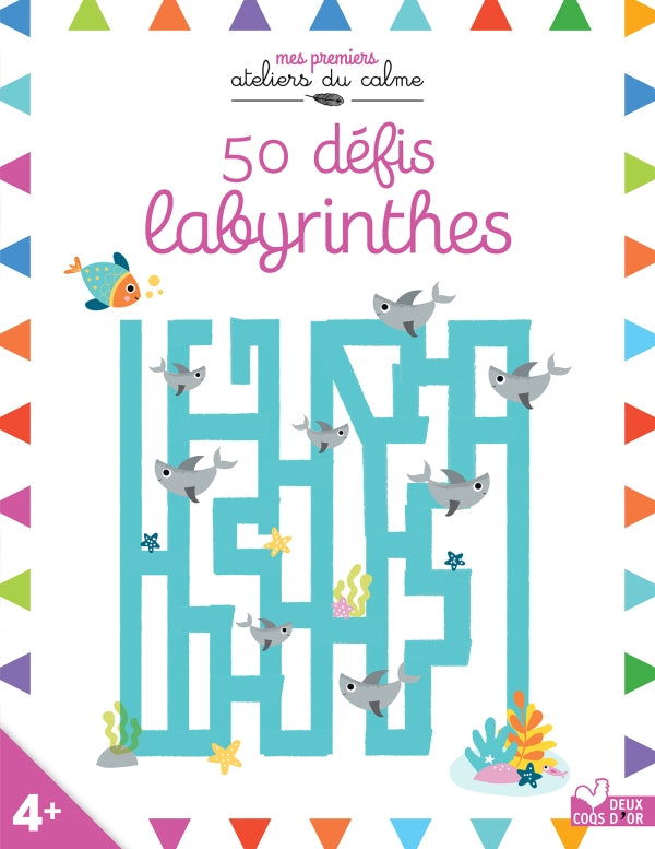Cahier de jeux - 50 défis labyrinthes Cahiers de jeux La family shop   