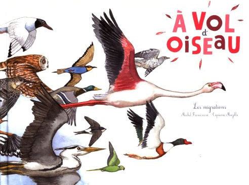 A Vol d'Oiseau, la Migration des Oiseaux Livres La family shop   