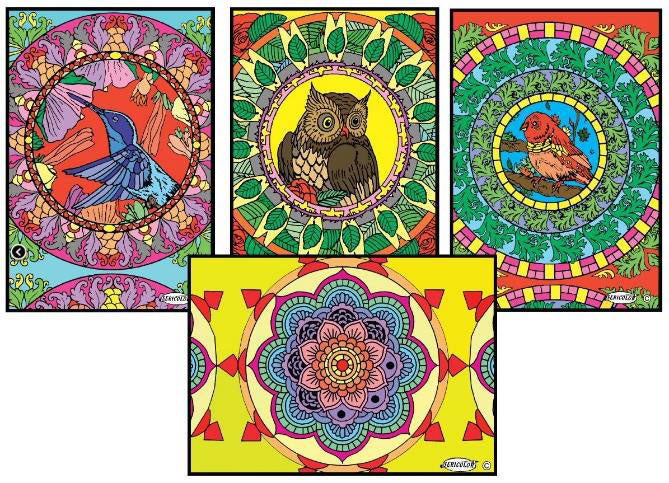 Mandalas en velours à colorier - Dès 4 ans Jeux & loisirs créatifs La family shop   