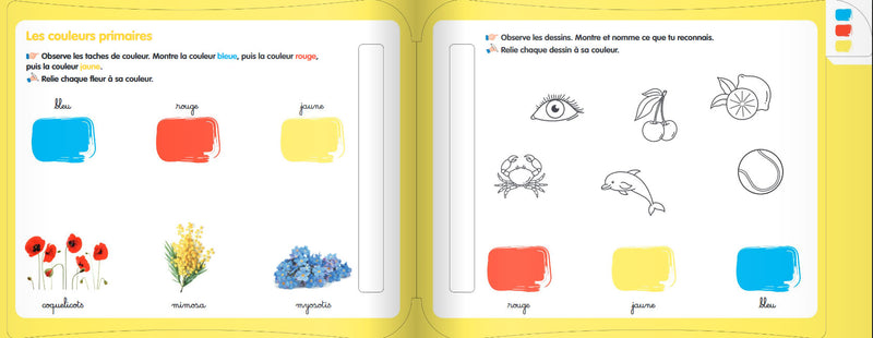 Je découvre les couleurs Montessori : j'écris, j'efface, j'apprends ! Montessori & Steiner OLF   