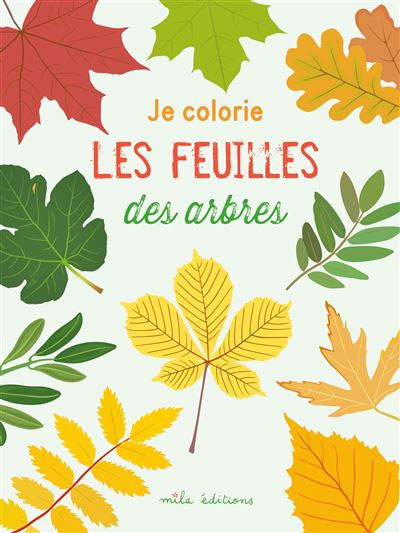 Je colorie les feuilles des arbres - Cahier de coloriage dès 3 ans Cahiers de jeux OLF   
