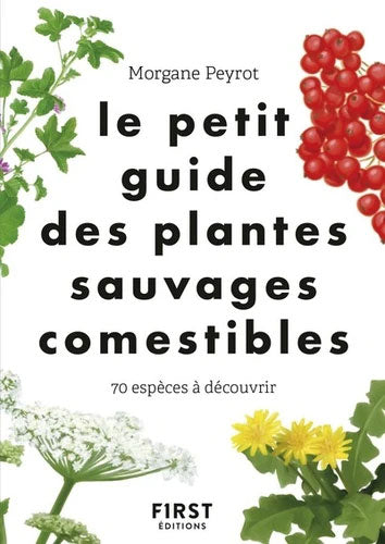 Le petit guide des plantes sauvages comestibles Livres OLF   