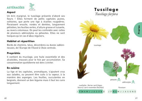 Le petit guide des plantes sauvages comestibles Livres OLF   