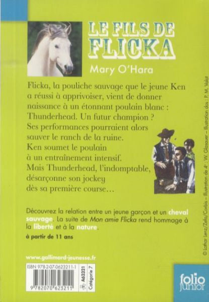 Le fils de Flicka Livres La Family Shop   