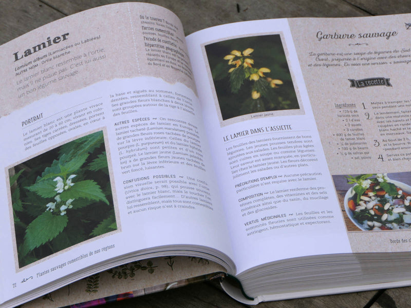 Plantes sauvages comestibles - les reconnaître et les cuisiner Livres Dargaud   