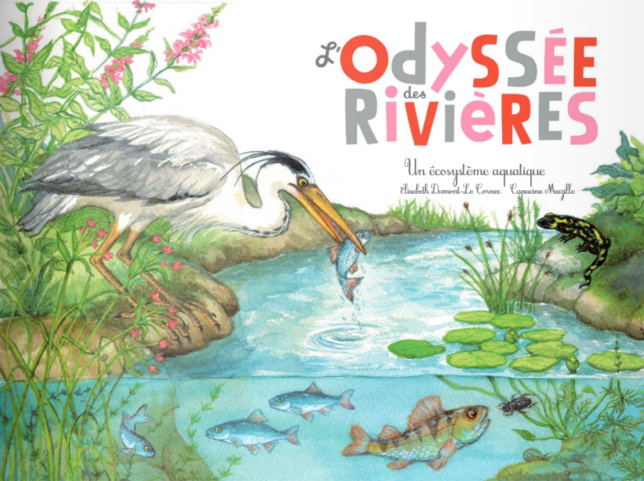 L’Odyssée des rivières: un écosystème aquatique Livres La family shop   