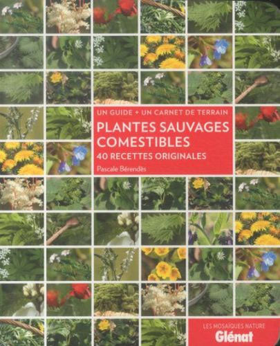 Plantes sauvages comestibles - 40 recettes originales Livres OLF   